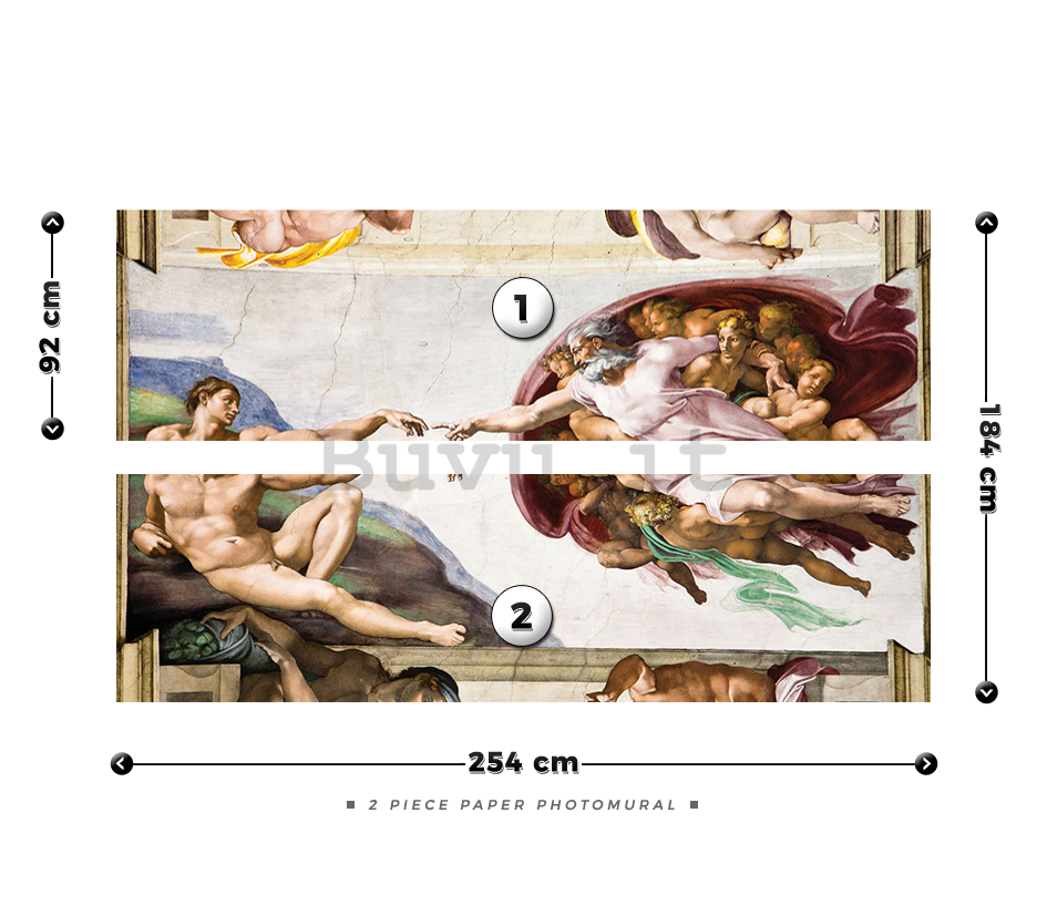 Fotomurale: Creazione di Adamo (Michelangelo Buonarotti) - 184x254 cm
