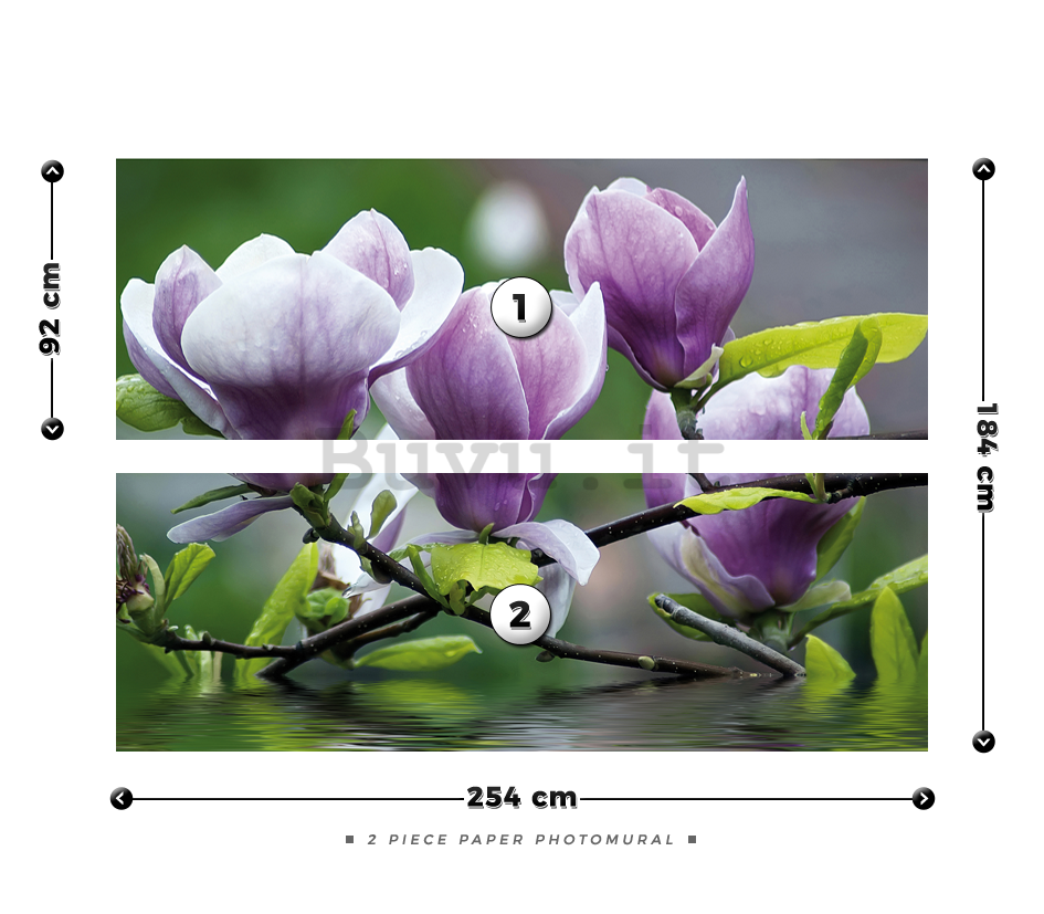 Fotomurale: Magnolia - 184x254 cm