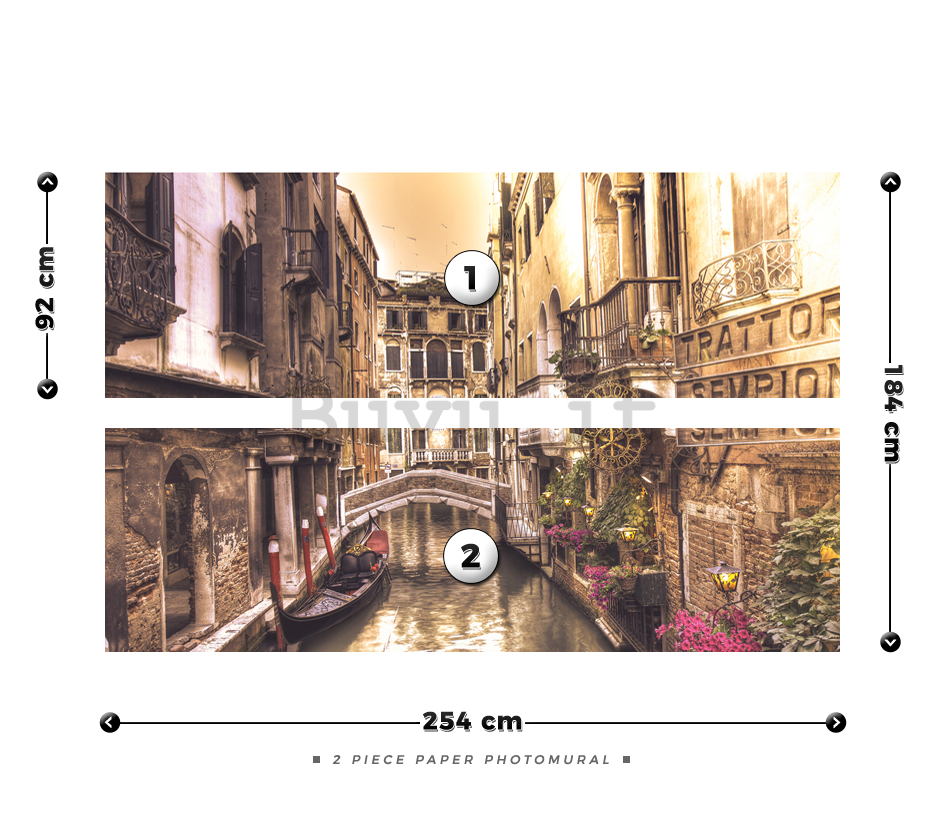Fotomurale: Venezia (canale) - 184x254 cm