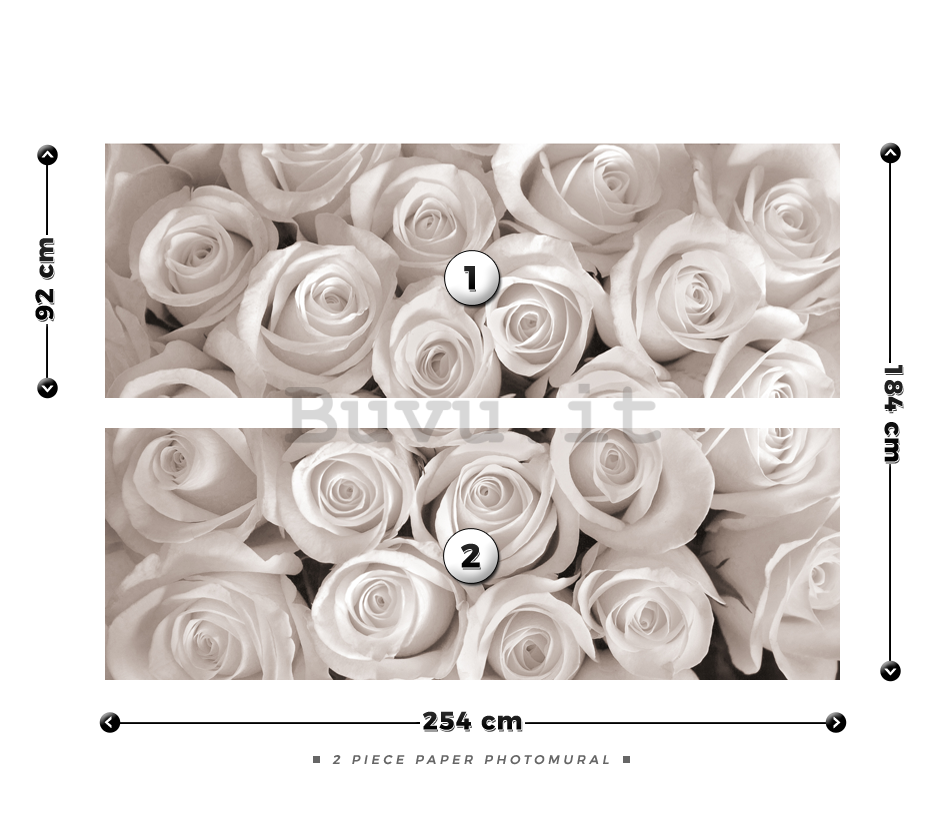 Fotomurale: Rosa bianca - 184x254 cm