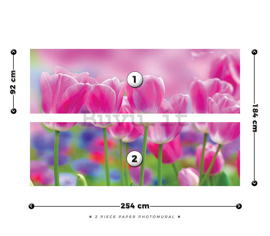 Fotomurale: Tulipani viola - 184x254 cm