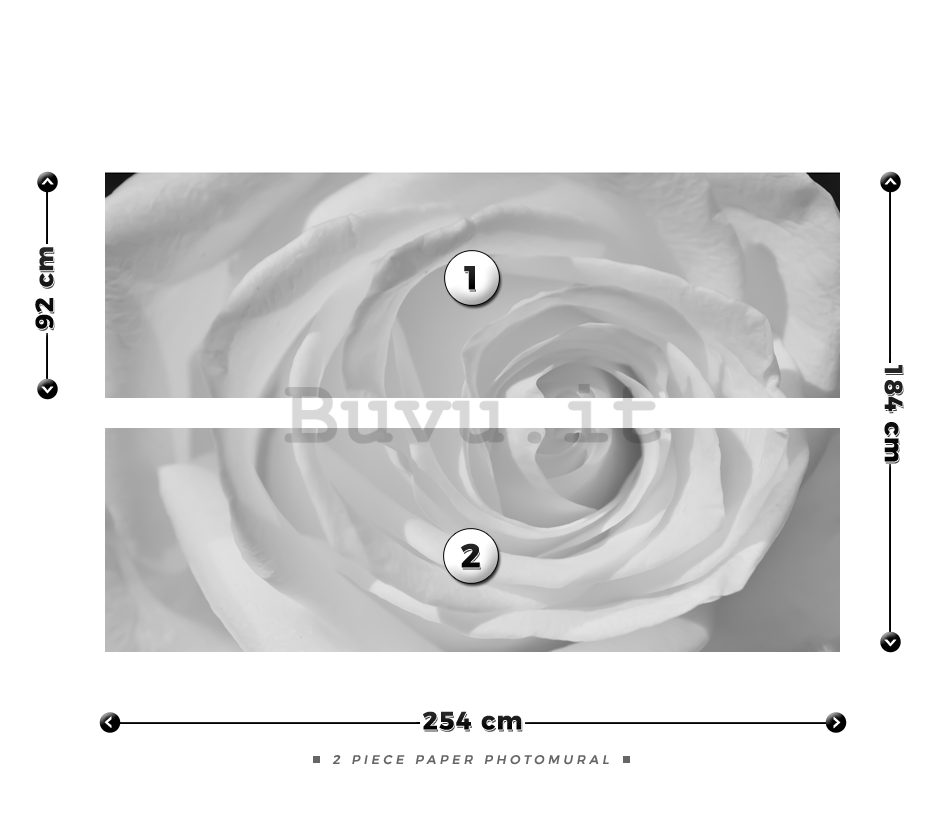 Fotomurale: Rosa bianca (particolare) - 184x254 cm