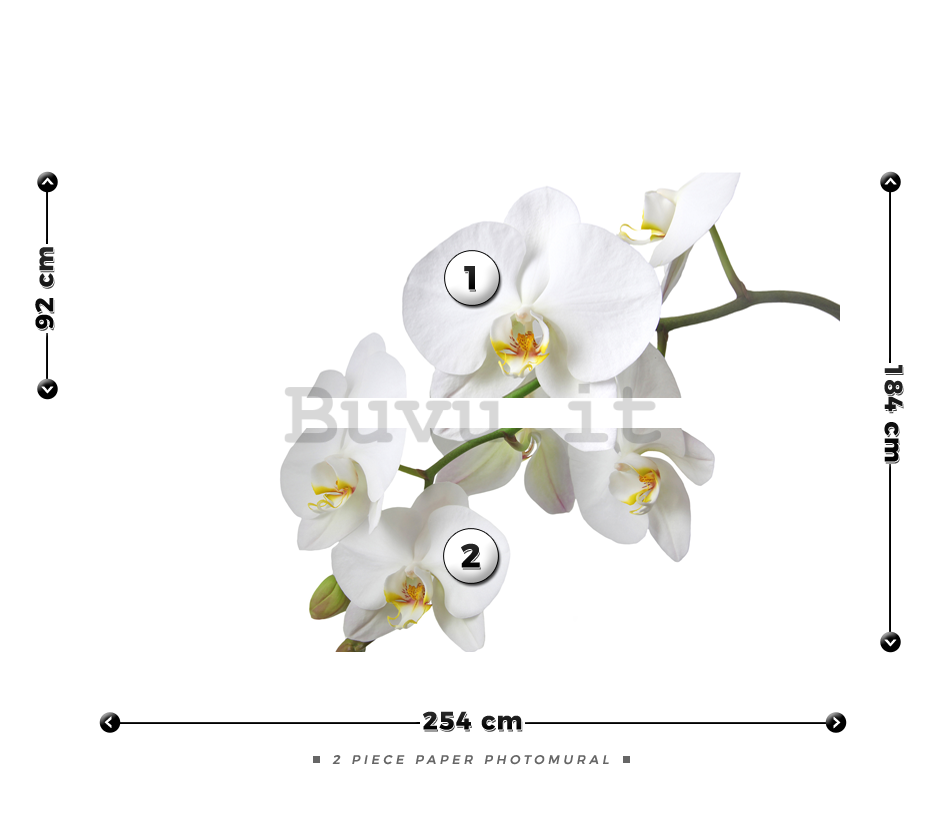 Fotomurale: Orchidea bianca - 184x254 cm