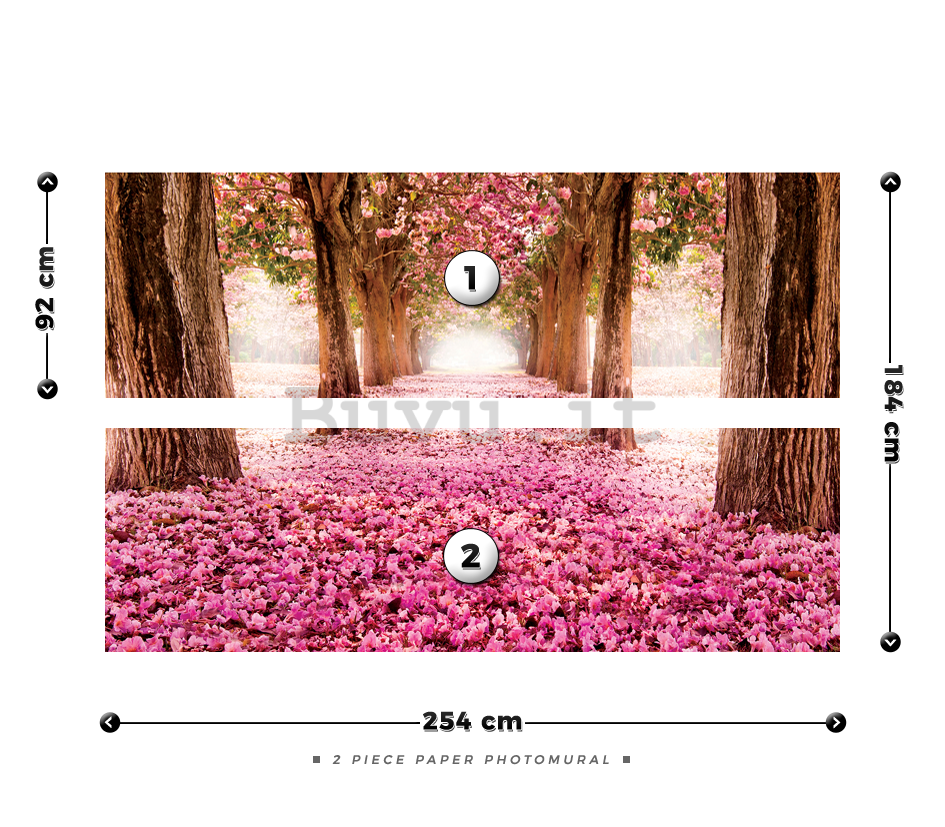 Fotomurale: Viale fiorito (1) - 184x254 cm