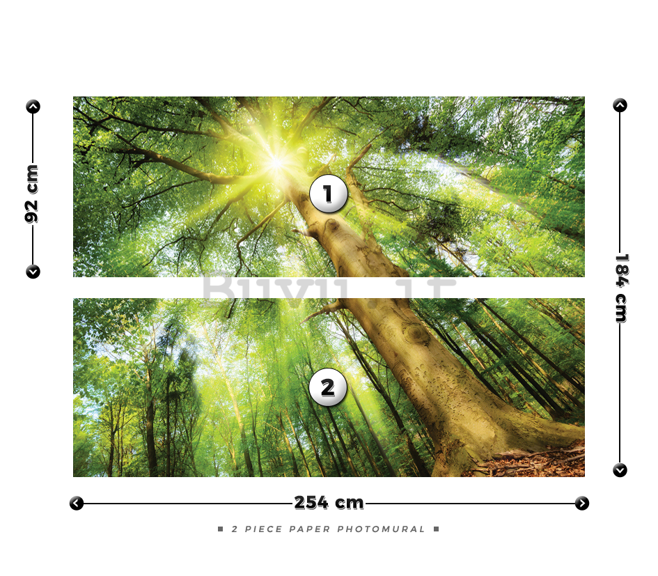 Fotomurale: Sole nel bosco (1) - 184x254 cm