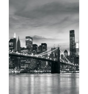Fotomurale: Brooklyn Bridge - 254x184 cm