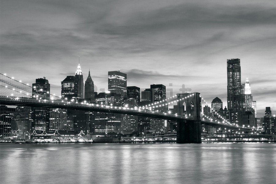 Fotomurale in TNT: Brooklyn Bridge - 104x152,5 cm