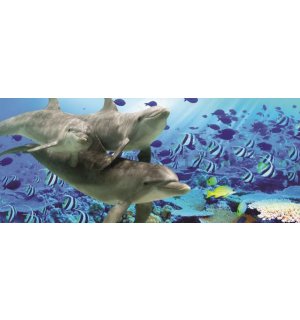 Fotomurale: Mondo marino - 104x250 cm