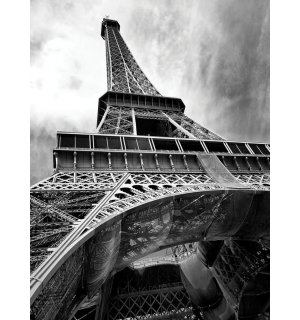 Fotomurale: Torre Eiffel (2) - 254x184 cm