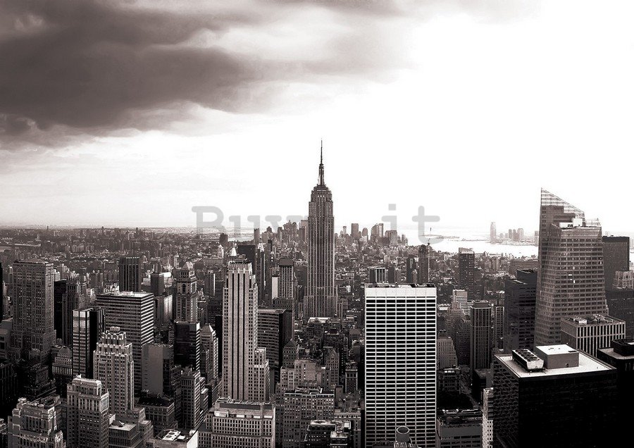 Fotomurale in TNT: Manhattan (in bianco e nero) - 184x254 cm