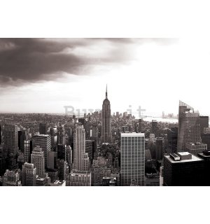 Fotomurale in TNT: Manhattan (in bianco e nero) - 104x152,5 cm