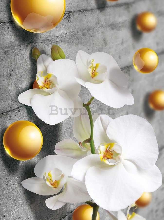 Fotomurale: Orchidea e palline gialle - 254x184 cm