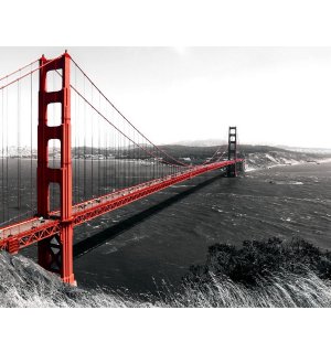 Quadro su tela: Golden Gate Bridge (1) - 75x100 cm