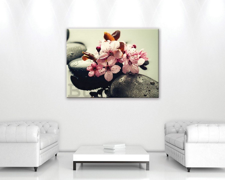 Quadro su tela: Zen e fiori - 75x100 cm