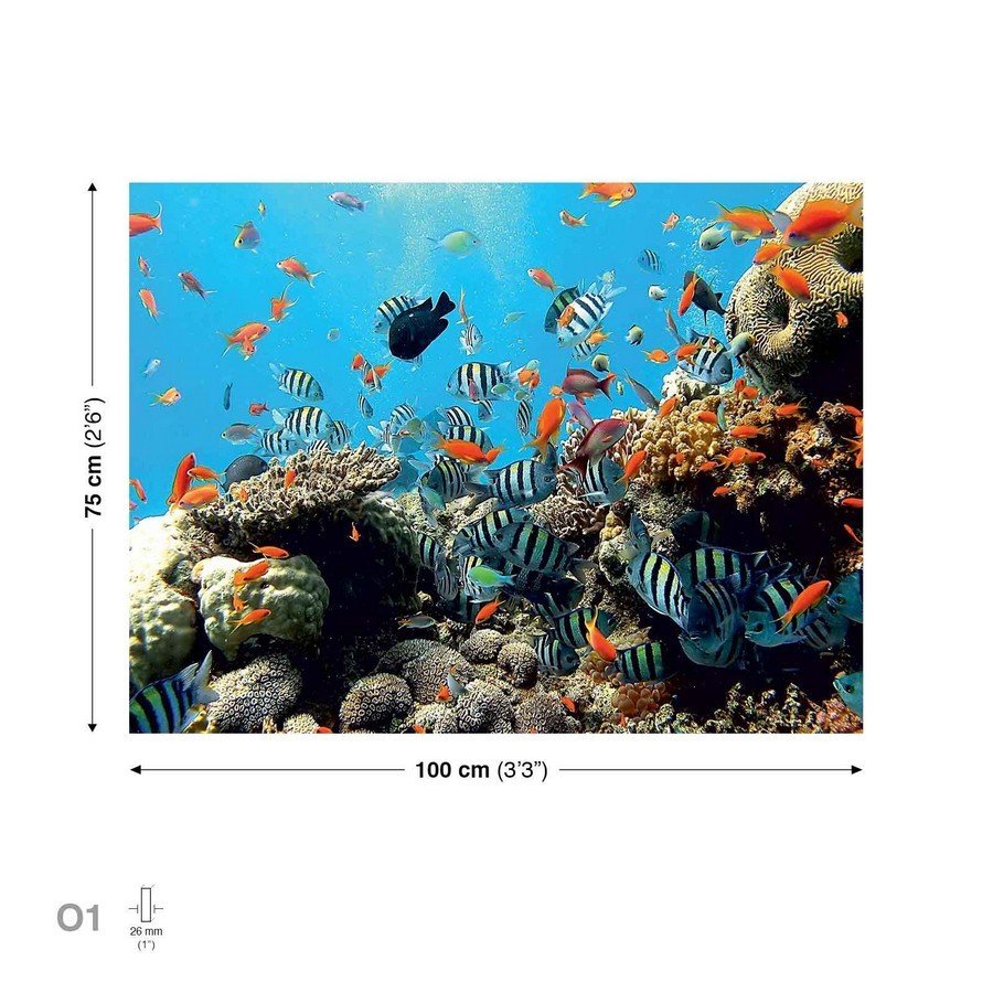 Quadro su tela: Barriera corallina - 75x100 cm