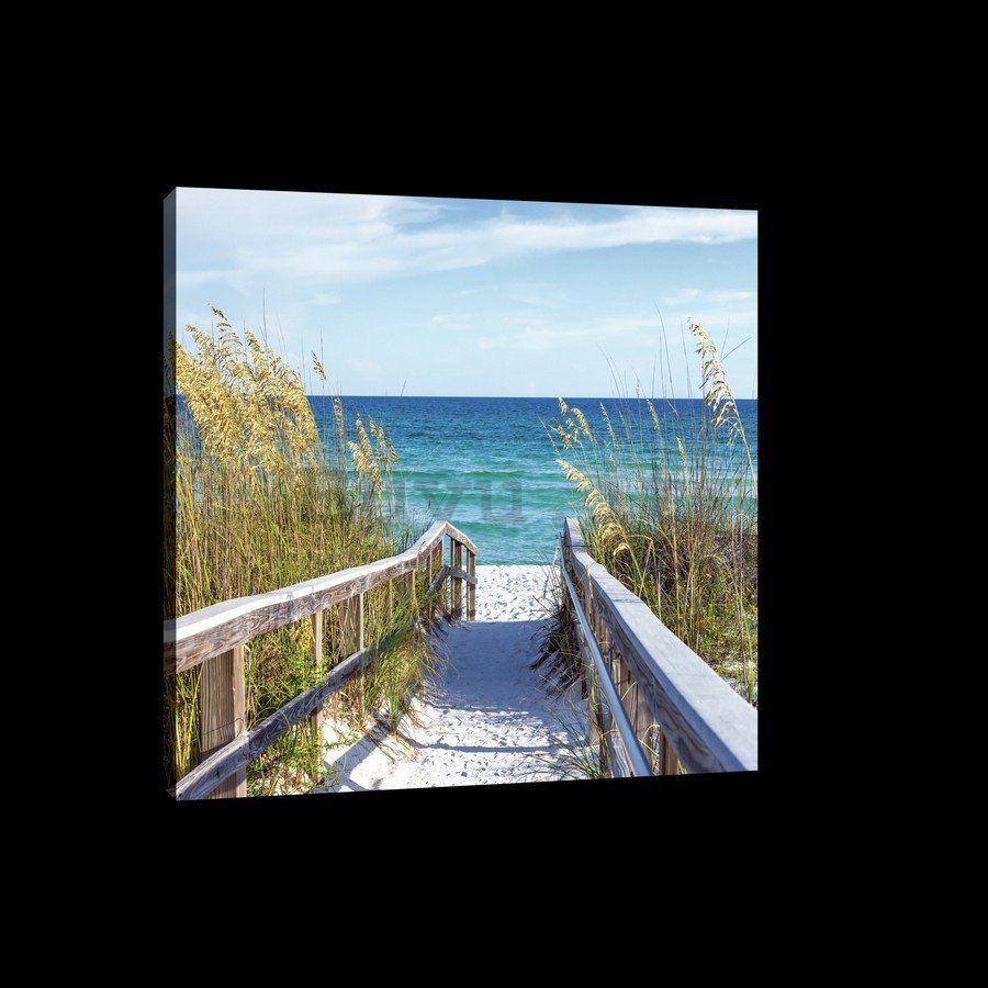 Quadro su tela: Sentiero sulla spiaggia (4) - 75x100 cm