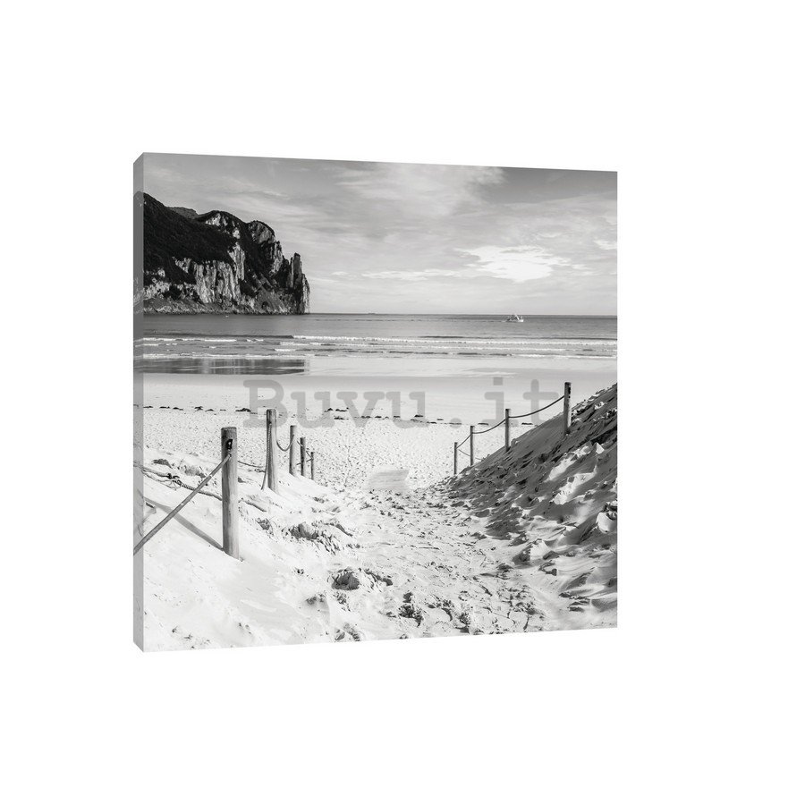 Quadro su tela: Spiaggia sabbiosa (in bianco e nero) - 75x100 cm