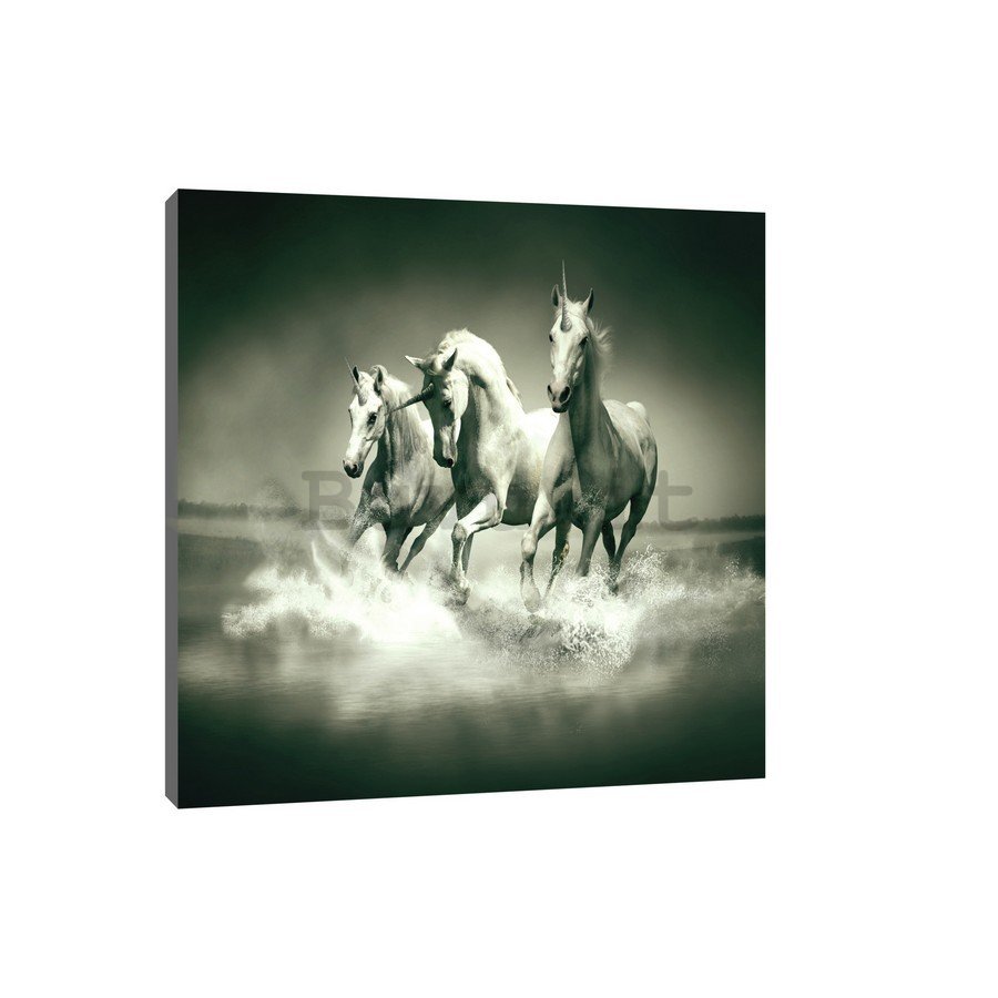 Quadro su tela: Unicorni (in bianco e nero) - 75x100 cm