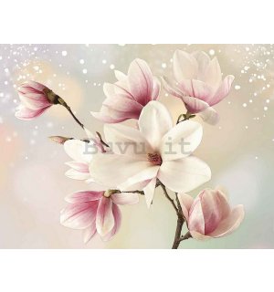 Quadro su tela: Magnolia (6) - 75x100 cm