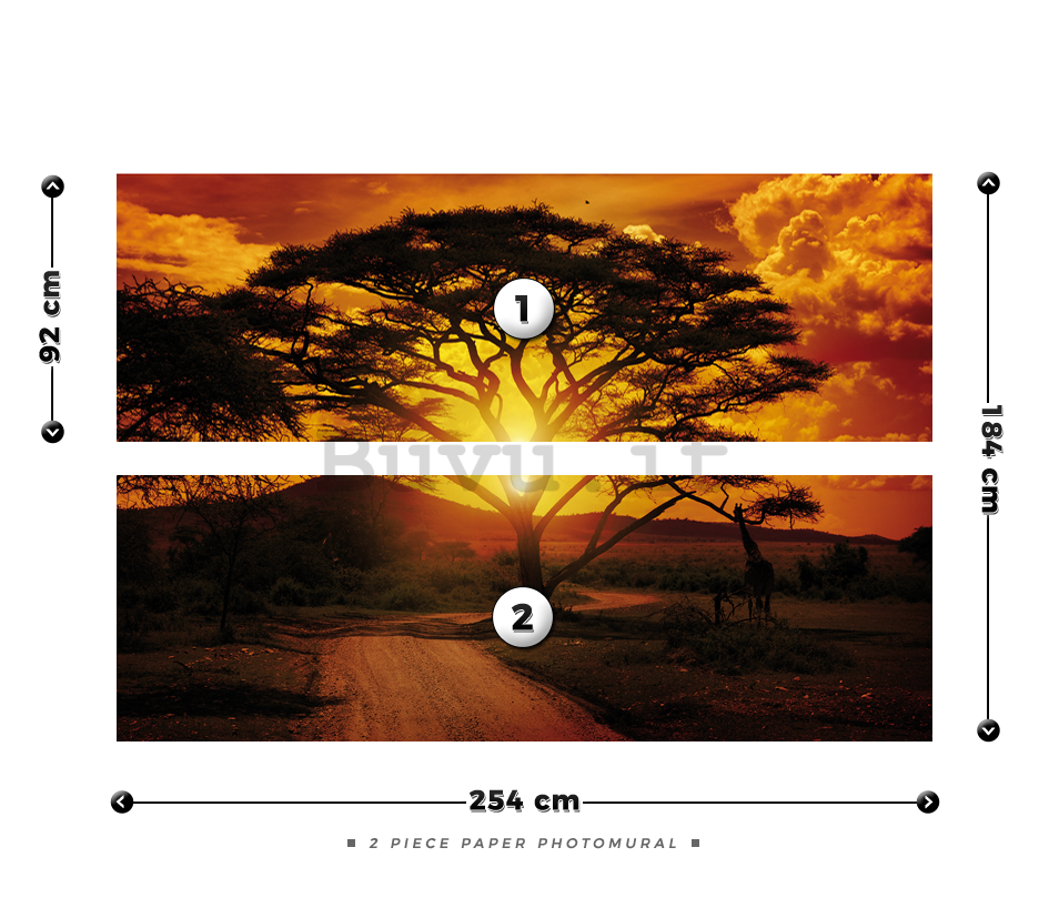 Fotomurale: Tramonto africano - 184x254 cm