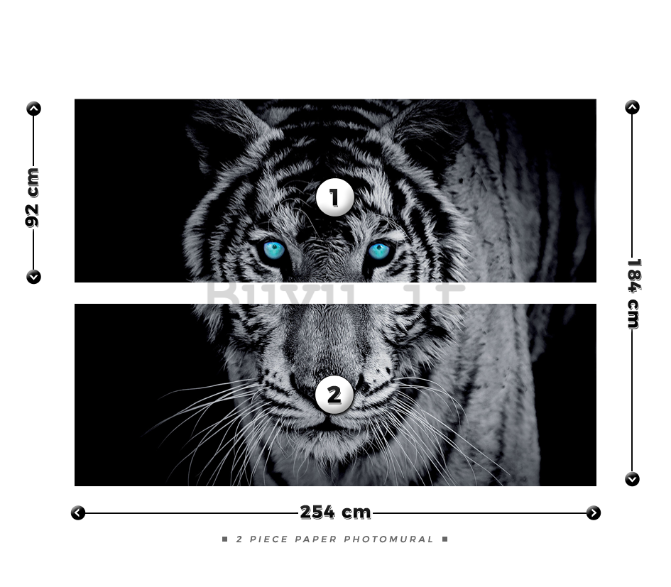 Fotomurale: Tigre in bianco e nero - 184x254 cm