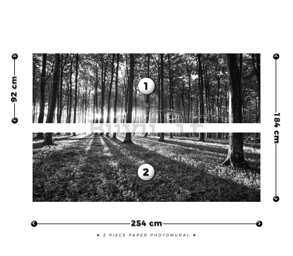 Fotomurale: Bosco in bianco e nero (1) - 184x254 cm
