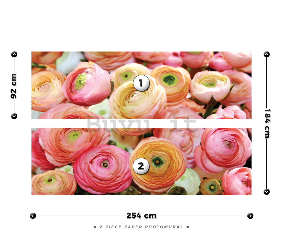 Fotomurale: Rose rosa e arancioni - 184x254 cm