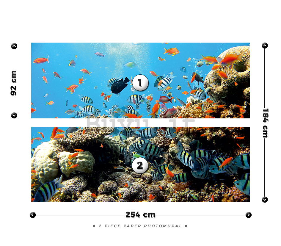 Fotomurale: Barriera corallina - 184x254 cm
