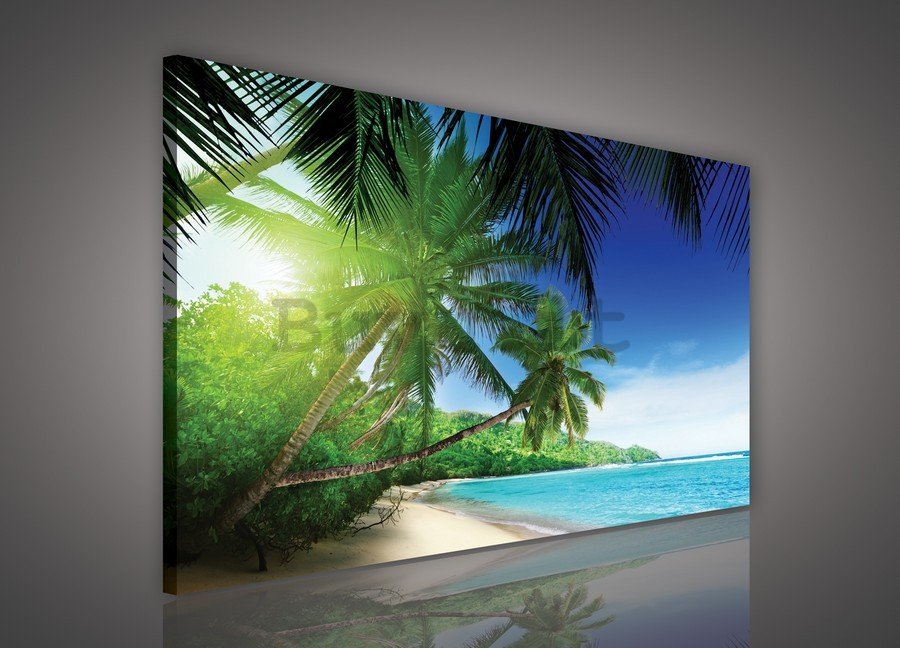 Quadro su tela: Paradiso sulla spiaggia - 75x100 cm