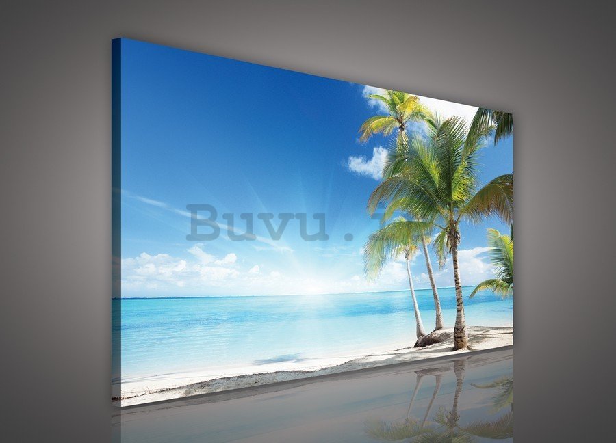 Quadro su tela: Palme sulla spiaggia - 75x100 cm