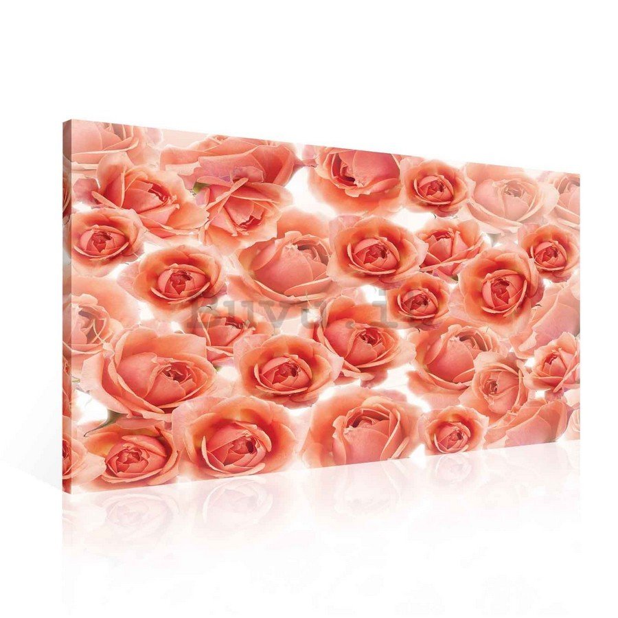 Quadro su tela: Rose rosse e rosa - 75x100 cm