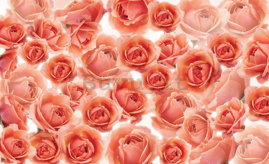 Quadro su tela: Rose rosse e rosa - 75x100 cm