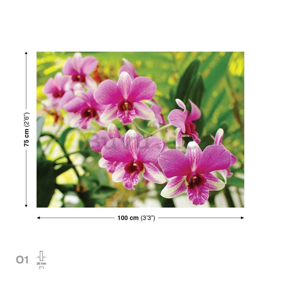 Quadro su tela: Orchidea (3) - 75x100 cm