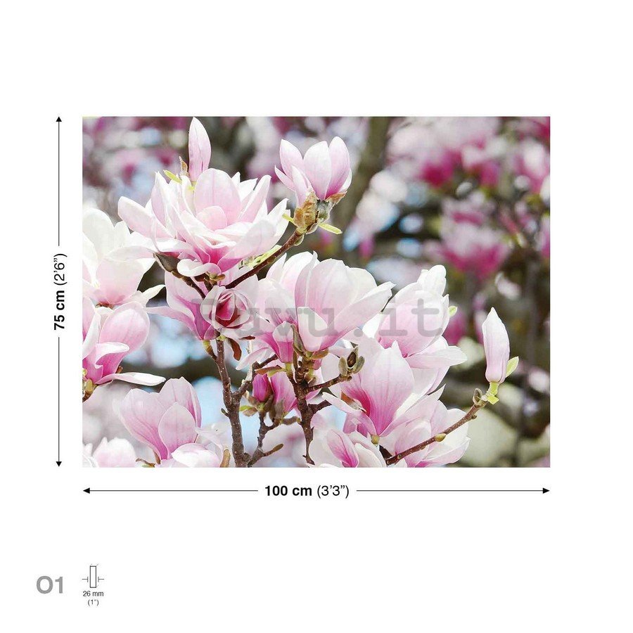 Quadro su tela: Fiori rosa - 75x100 cm