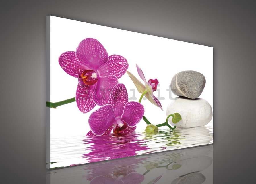 Quadro su tela: Orchidea con pietre - 75x100 cm