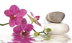 Quadro su tela: Orchidea con pietre - 75x100 cm