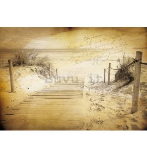 Quadro su tela: Sentiero sulla spiaggia (vintage) - 75x100 cm