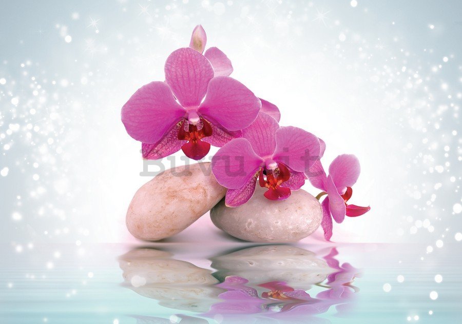 Quadro su tela: Orchidea con pietre (2) - 75x100 cm
