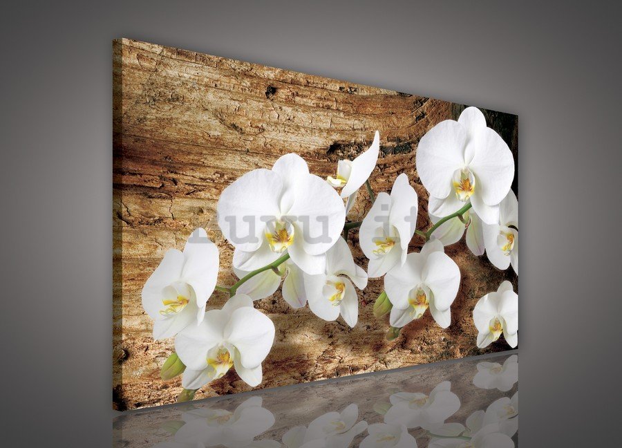 Quadro su tela: Orchidee su legno - 75x100 cm