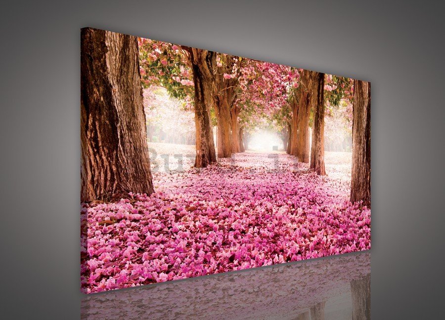Quadro su tela: Viale fiorito (1) - 75x100 cm