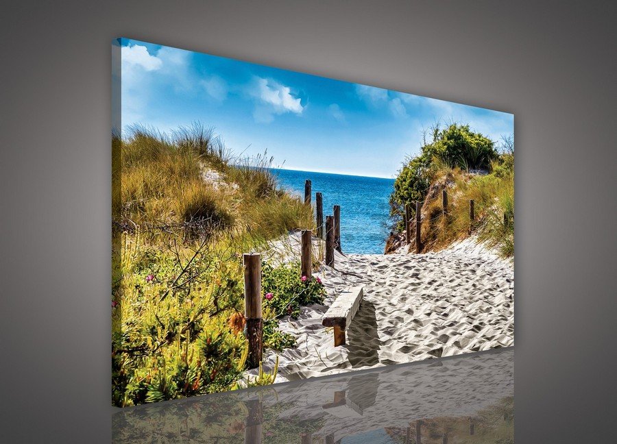 Quadro su tela: Sentiero sulla spiaggia (6) - 75x100 cm
