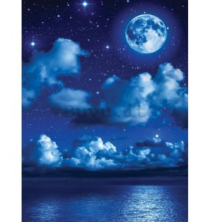 Fotomurale: Notte con la luna - 254x184 cm