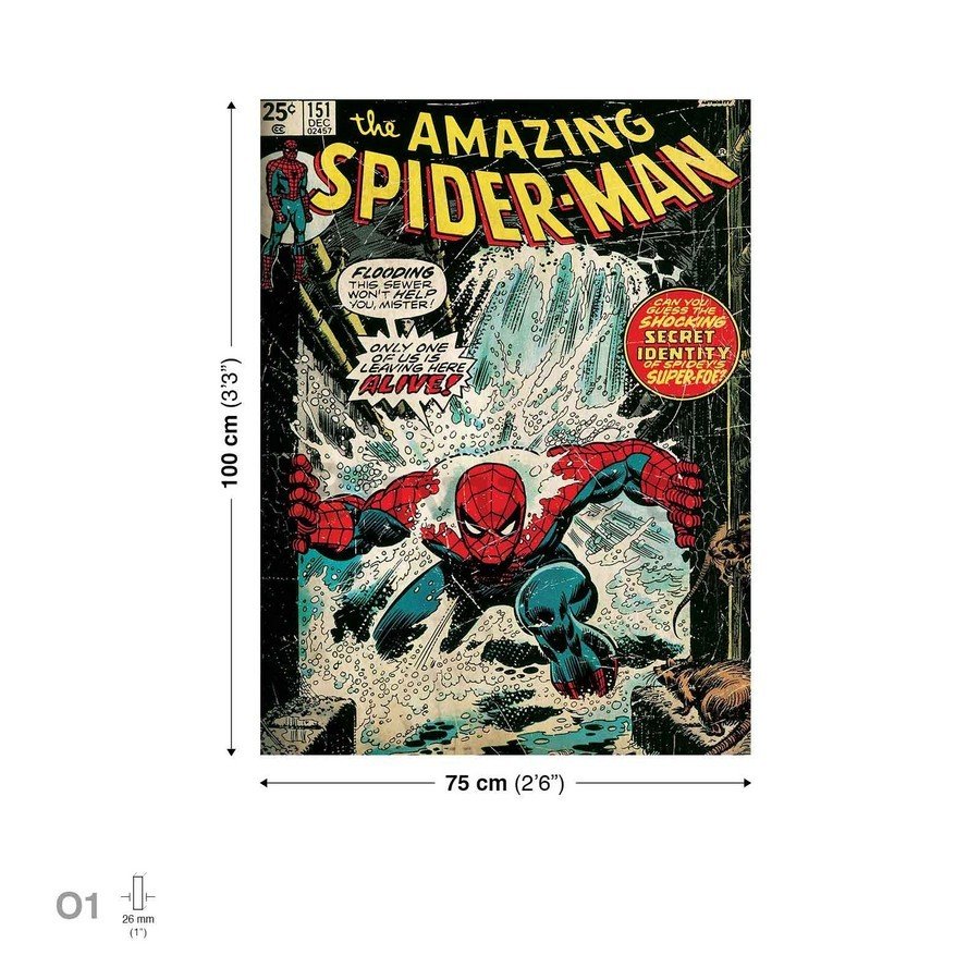Quadro su tela: Amazing Spiderman (comics) - 75x100 cm