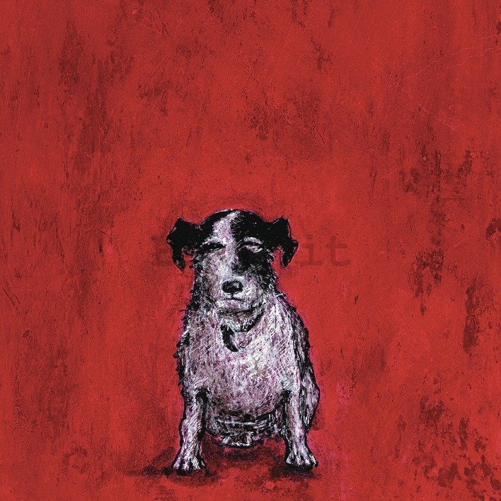Quadro su tela - Sam Toft, Small Dog