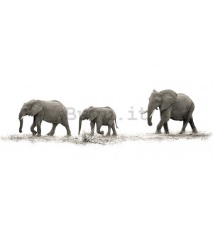 Quadro su tela - Mario Moreno, The Elephants