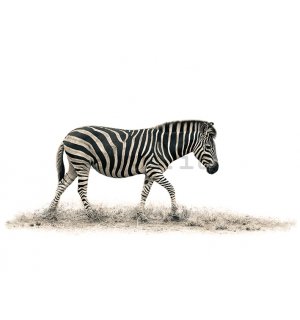 Quadro su tela - Mario Moreno, The Zebra