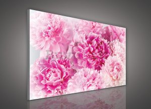Quadro su tela: Rose rosa (2) - 75x100 cm