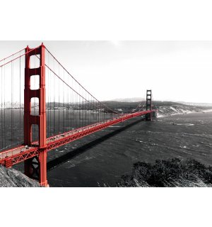 Fotomurale in TNT: Golden Gate Bridge (1) - 254x368 cm