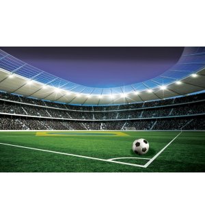 Fotomurale in TNT: Stadio di calcio (5) - 254x368 cm