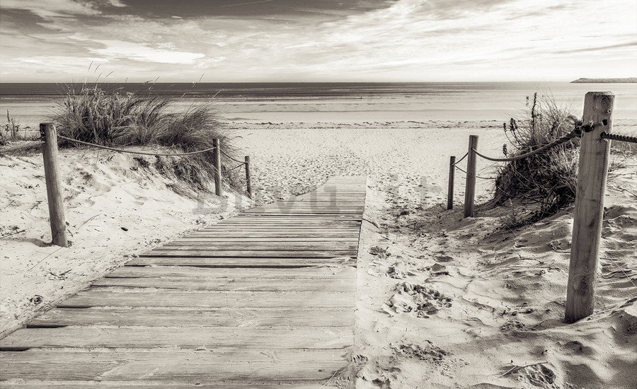 Fotomurale in TNT: Spiaggia (in bianco e nero) - 254x368 cm